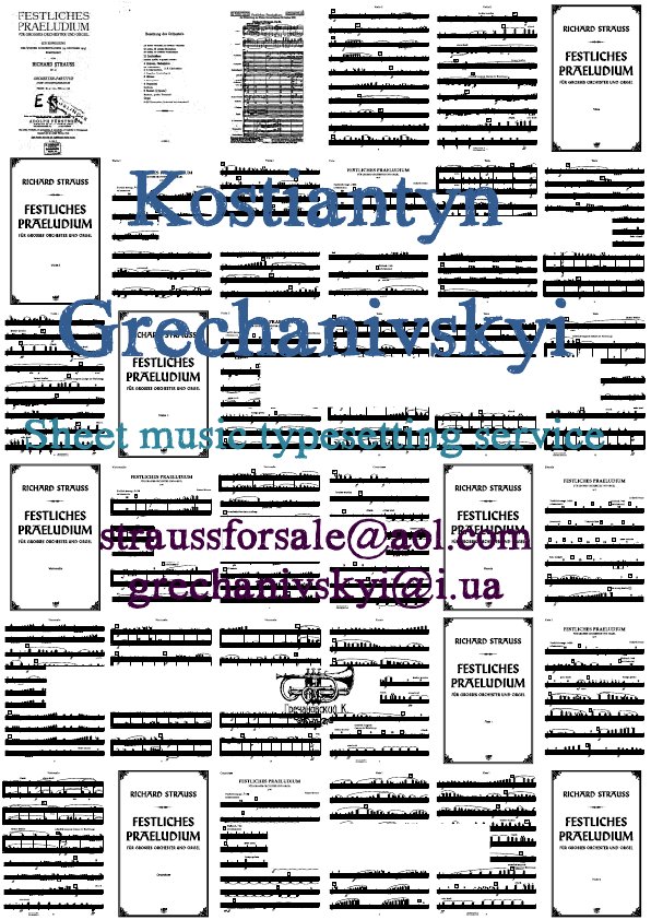 Click to download "Richard Strauss.Festliches Praeludium.Parts" sheet music